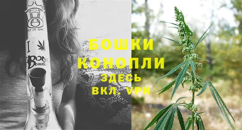 Каннабис White Widow  Петровск-Забайкальский 